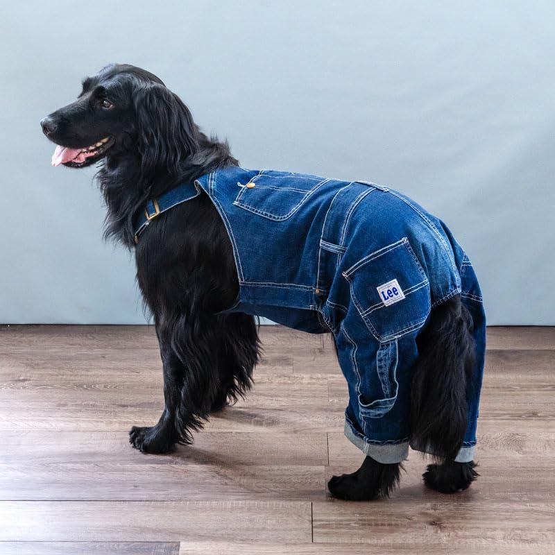 Amazon | ペットパラダイス 犬 服 Lee デニム 白ステッチ